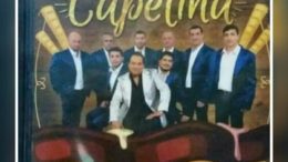 17952942_741815319334202_9050021900527641748_n