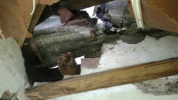 18836024_369965713404993_677027268032128524_n