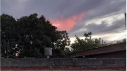 Sin título