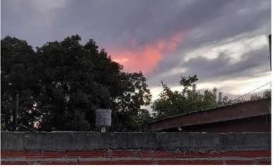 Sin título