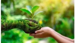 concienciaambientalnuevo