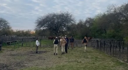 espinilio