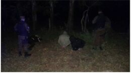 estaeslakevadelapersec