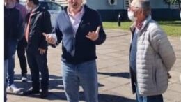 frigerioenfederaciontercera