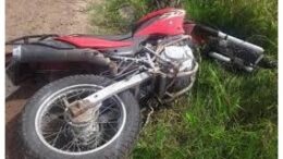 imagenilustratibamoto