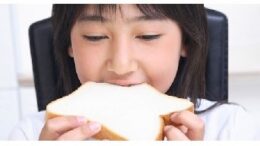 japonesitapan