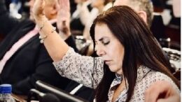 lenadiputadaallanada