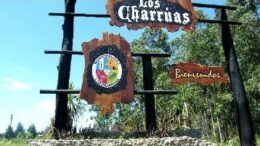 loscharruas