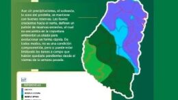 mapabolsacereal