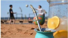 mate-de-terere-990x556