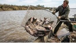 pesca