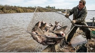 pesca