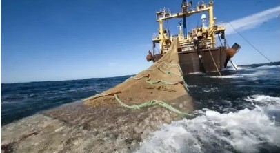 pescamalvinera