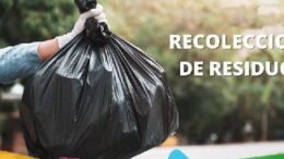 recoleccion