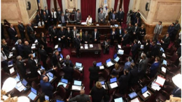 senado-emergencia-alimentaria-21