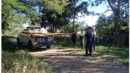 usurpanterrenoviejafed