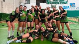 voley